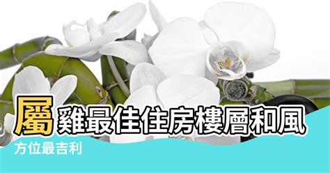 屬雞住宅方位|属鸡最佳住房楼层和风水方位